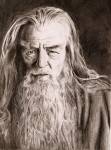 Gandalf_the_Grey_by_tjota.jpg