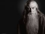 Lord_of_the_Rings_Gandalf_312200523245PM472.jpg